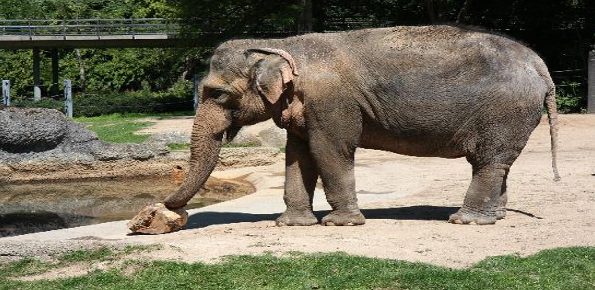 Karlsruhe Zoo